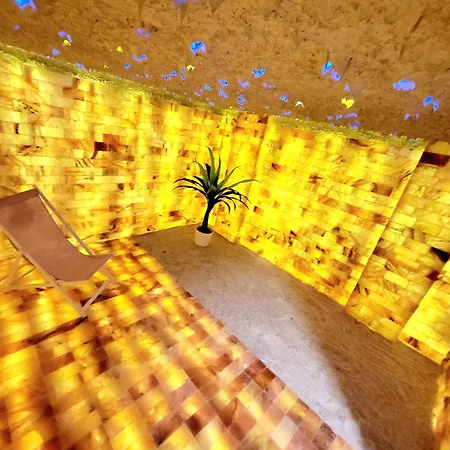 Schickster Sky * Лойташ